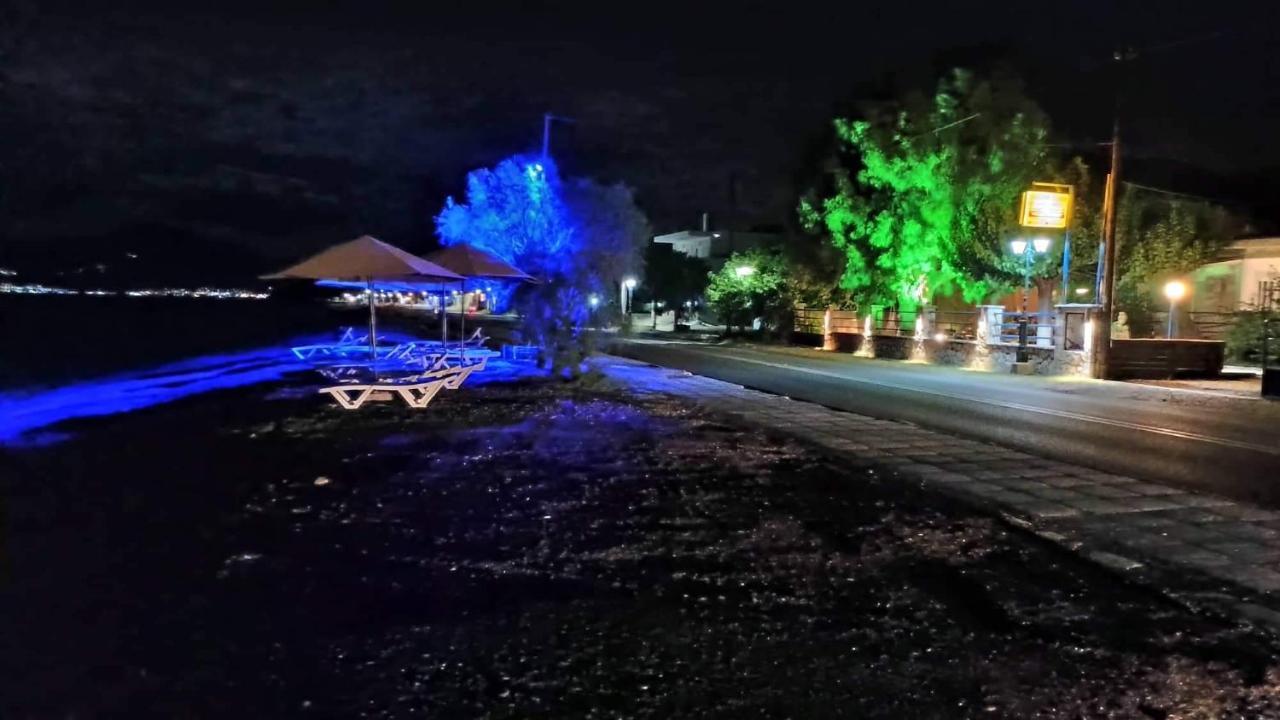 Holiday Tolofona Beach Ερατεινή Εξωτερικό φωτογραφία