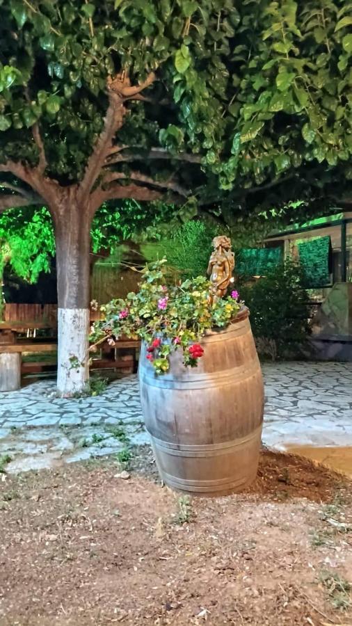 Holiday Tolofona Beach Ερατεινή Εξωτερικό φωτογραφία