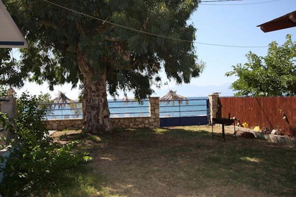 Holiday Tolofona Beach Ερατεινή Δωμάτιο φωτογραφία