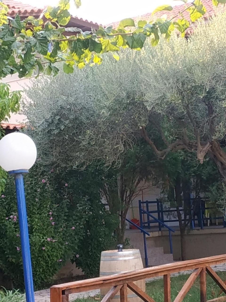 Holiday Tolofona Beach Ερατεινή Εξωτερικό φωτογραφία